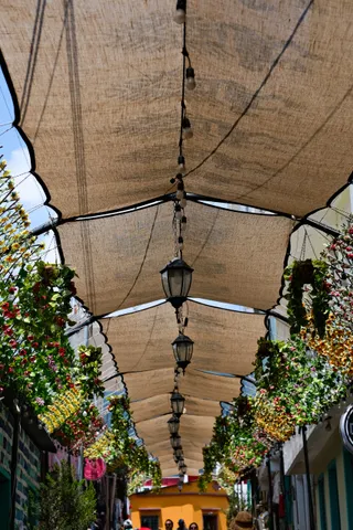 DSCF0502.jpg