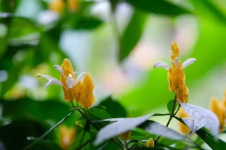 DSCF0616.jpg