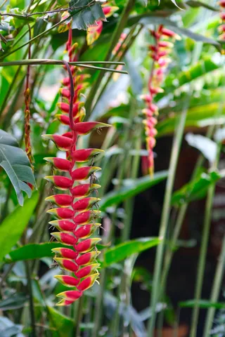 DSCF0617.jpg