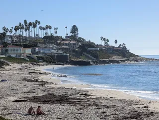 The beach curving toward La Jolla's cliffside homes and palm trees