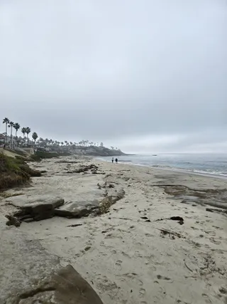 A foggy morning on a La Jolla beach