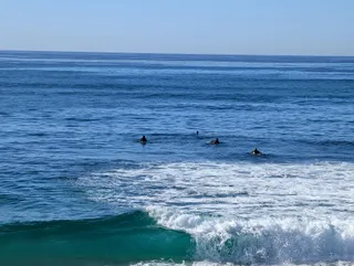 Surfers waiting for a wave off La Jolla