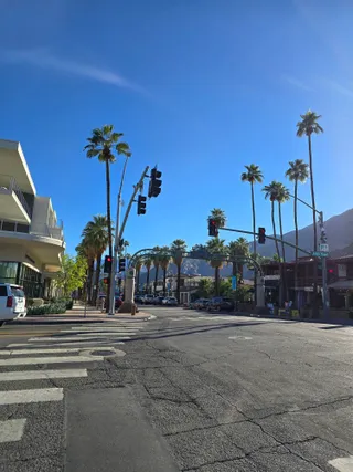 Palm Canyon Drive at Alejo Road, with palm trees and the mountains behind