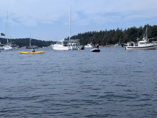 Sailboats, motorboats and a yellow kayak in Roche Harbor