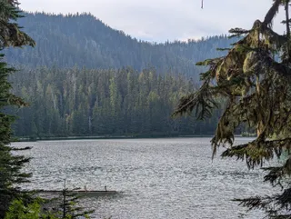 Lake Eleanor through trees draped in moss, with forested hills behind it