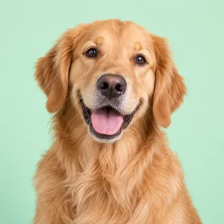 Biscuit, a fictional dog reviewer